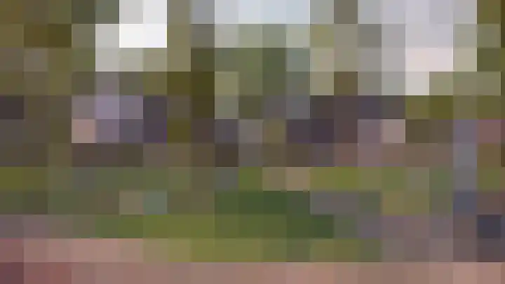 Mulder 46 Wijchen thumbnail 15