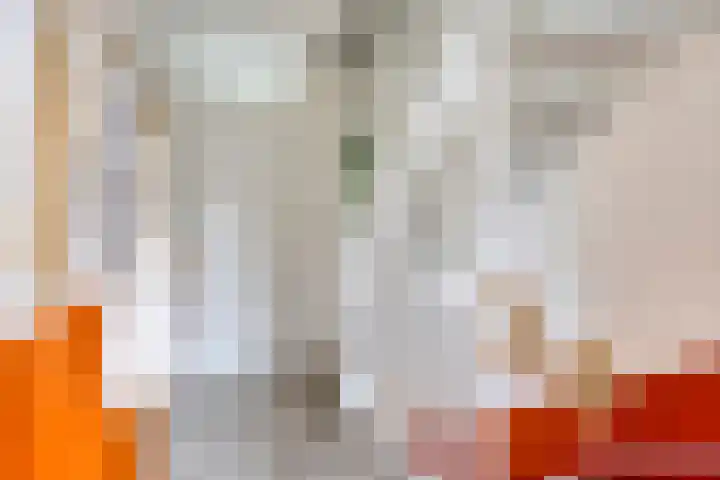 Mulder 5 Wijchen thumbnail 10