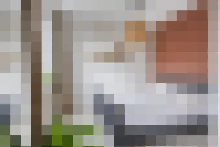Mulder 5 Wijchen thumbnail 11
