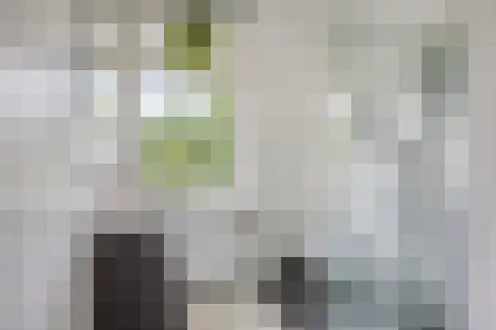 Mulder 5 Wijchen thumbnail 13