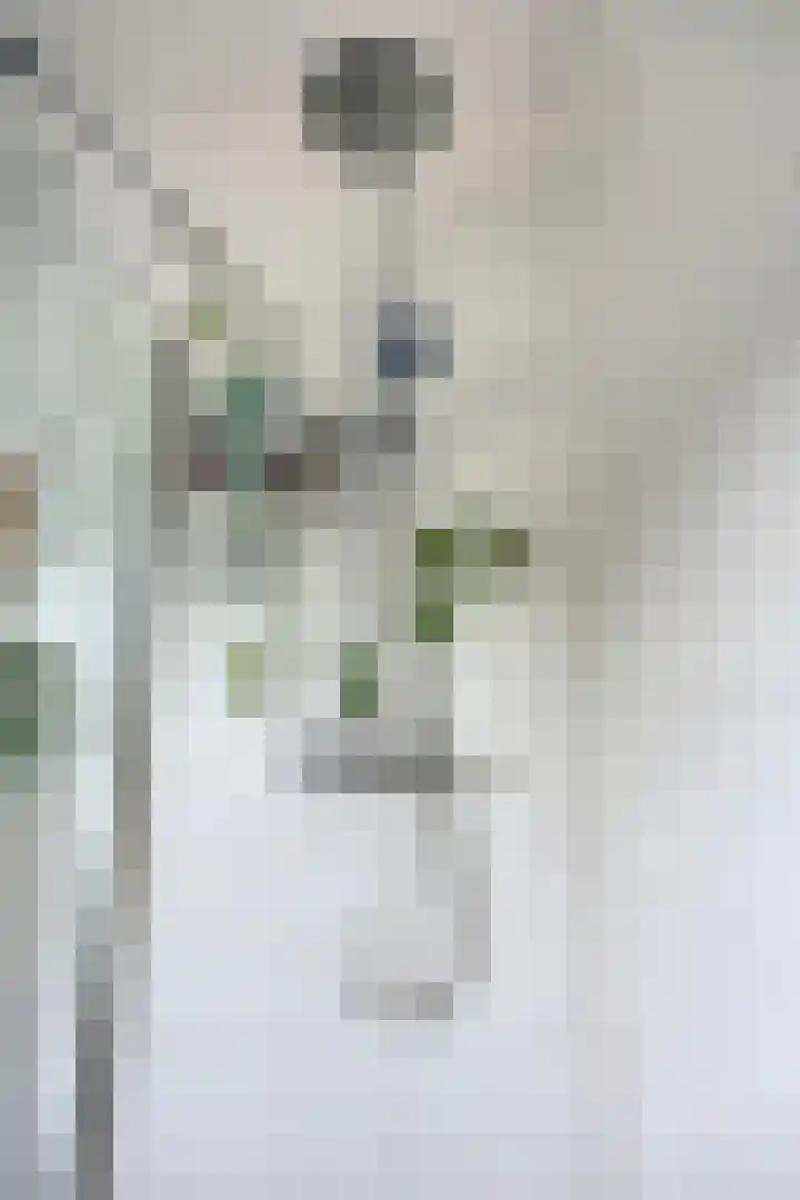 Mulder 5 Wijchen thumbnail 16