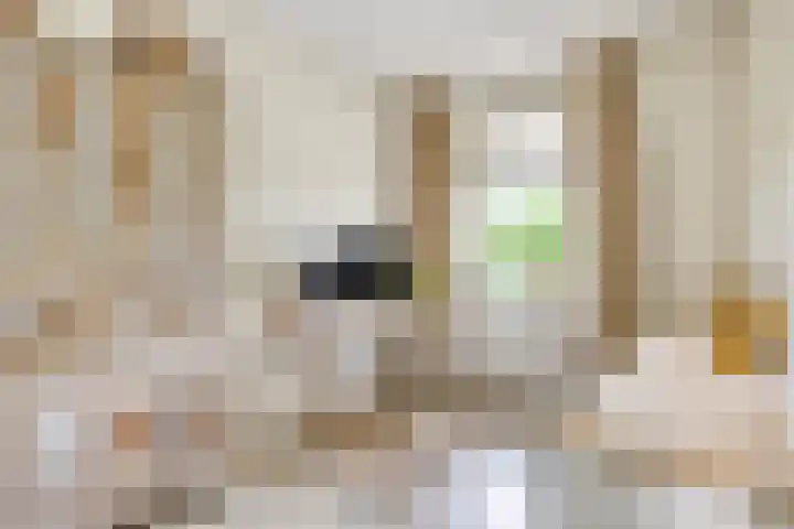 Mulder 5 Wijchen thumbnail 18