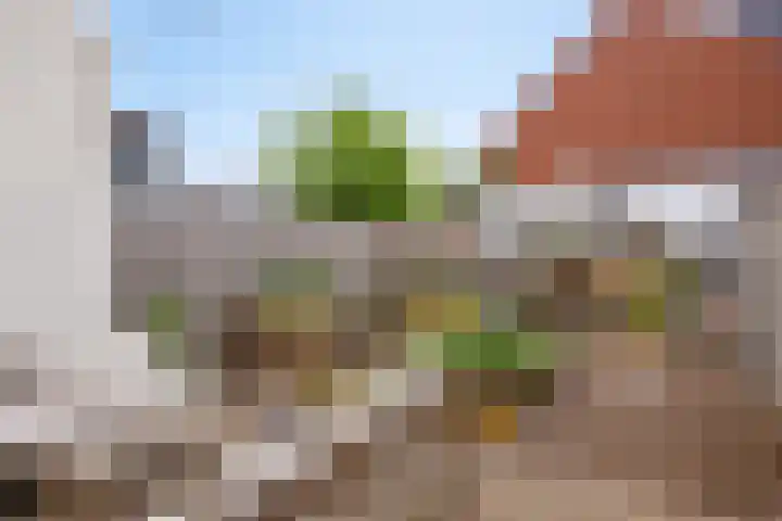 Mulder 5 Wijchen thumbnail 21
