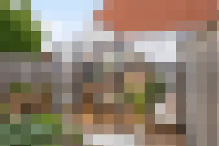 Mulder 5 Wijchen thumbnail 22