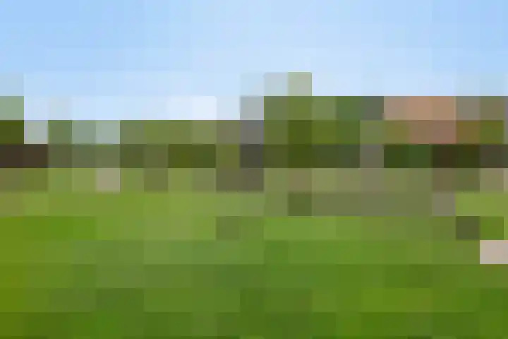 Mulder 5 Wijchen thumbnail 25