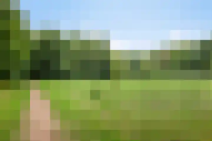 Mulder 5 Wijchen thumbnail 26