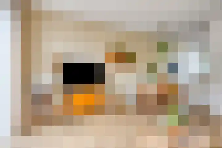 Mulder 5 Wijchen thumbnail 5
