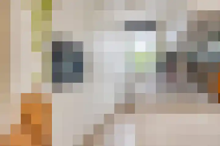 Mulder 5 Wijchen thumbnail 7