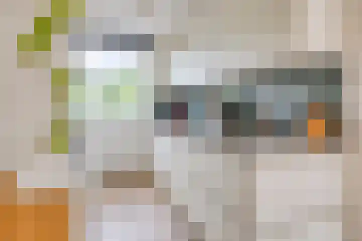 Mulder 5 Wijchen thumbnail 8
