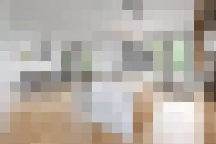 Mulder 86 Wijchen thumbnail 8