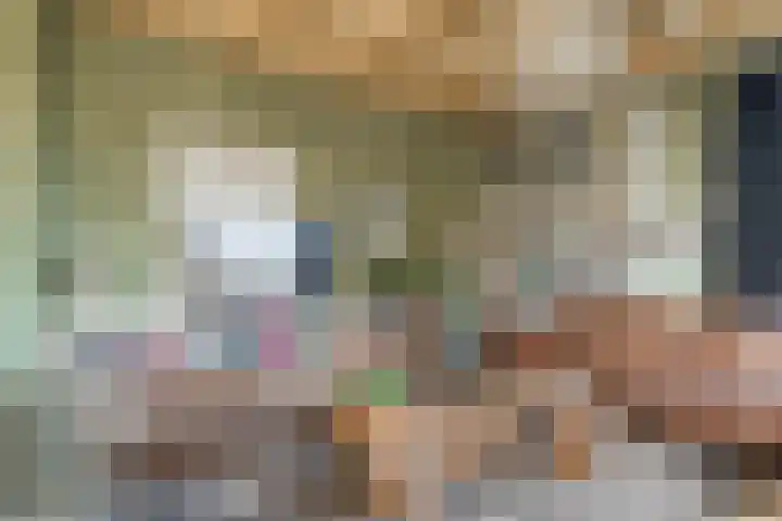 Mulderij 10 Dedemsvaart thumbnail 10