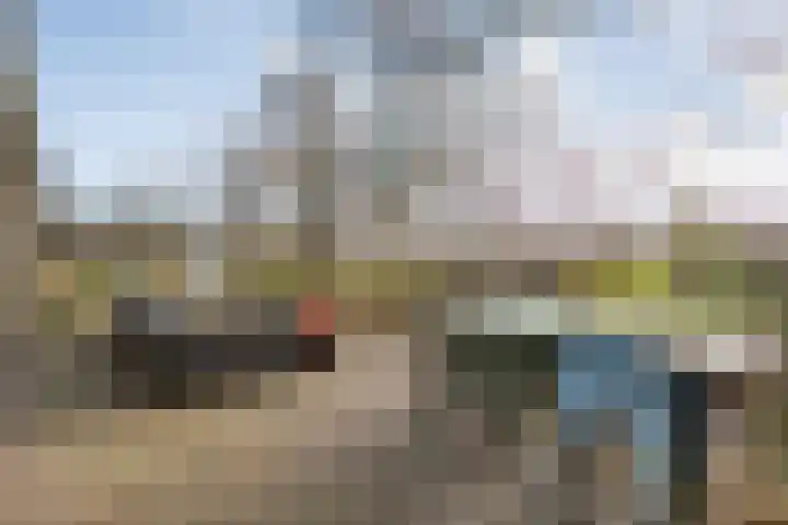 Mulderij 10 Dedemsvaart thumbnail 100