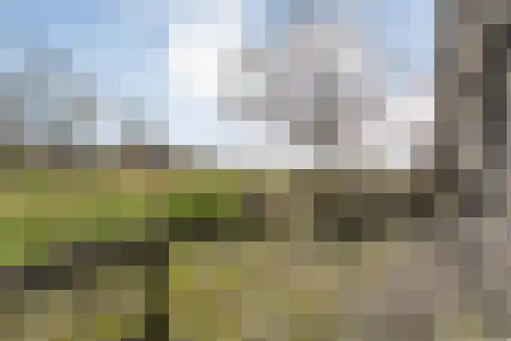 Mulderij 10 Dedemsvaart thumbnail 101
