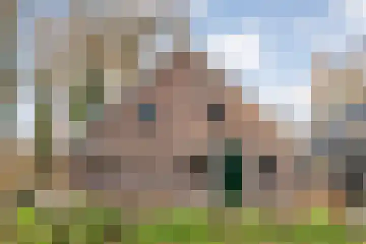 Mulderij 10 Dedemsvaart thumbnail 102