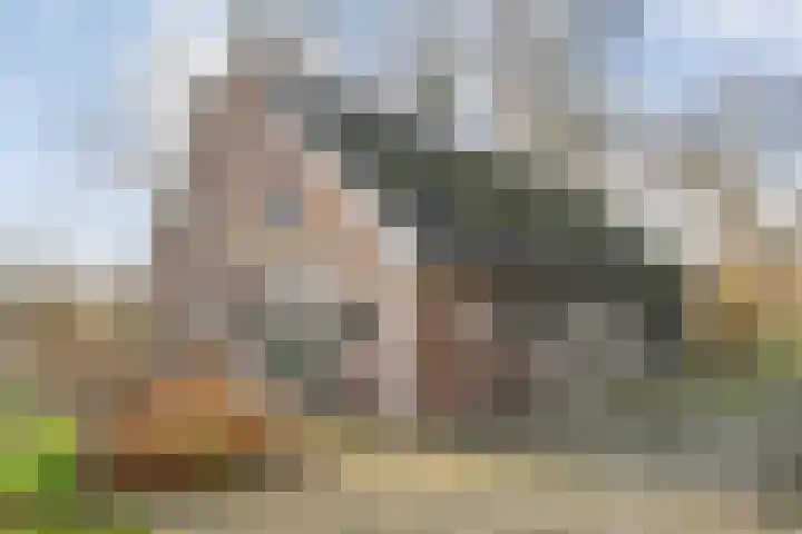 Mulderij 10 Dedemsvaart thumbnail 103