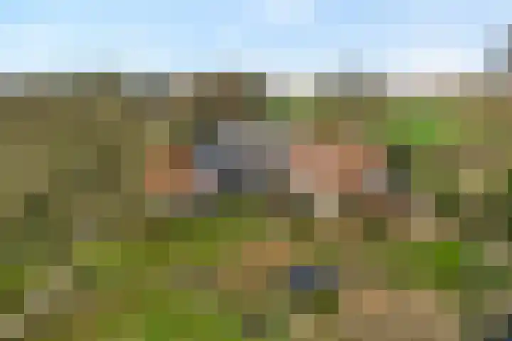 Mulderij 10 Dedemsvaart thumbnail 105