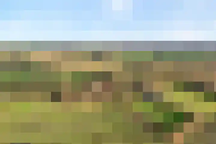 Mulderij 10 Dedemsvaart thumbnail 108