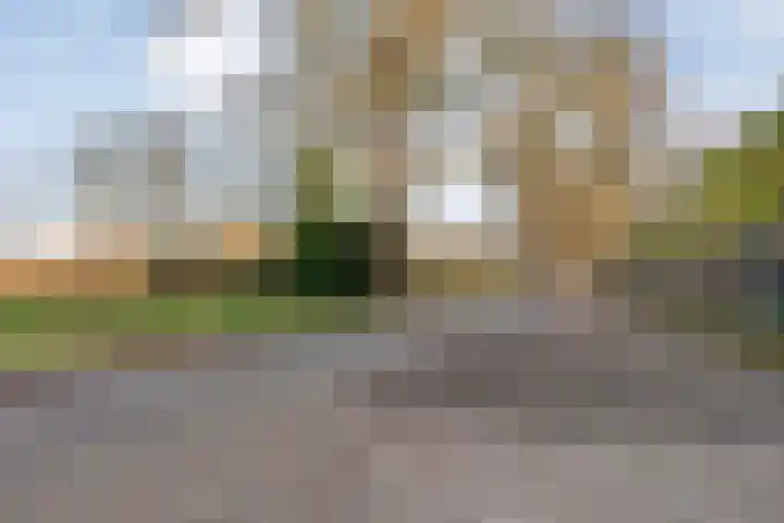 Mulderij 10 Dedemsvaart thumbnail 109