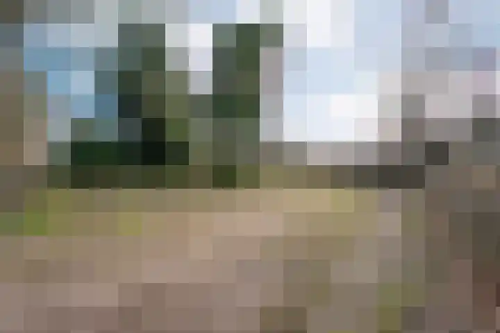 Mulderij 10 Dedemsvaart thumbnail 110