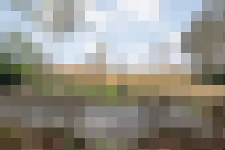 Mulderij 10 Dedemsvaart thumbnail 111
