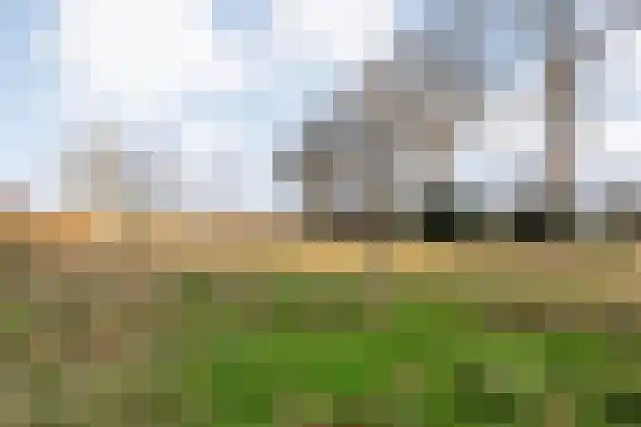 Mulderij 10 Dedemsvaart thumbnail 112