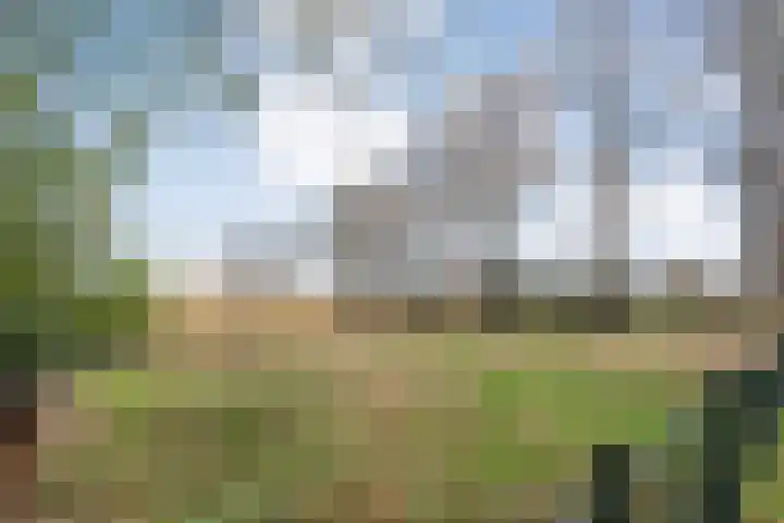 Mulderij 10 Dedemsvaart thumbnail 113