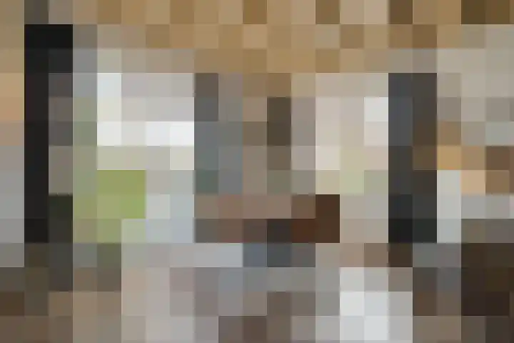 Mulderij 10 Dedemsvaart thumbnail 12