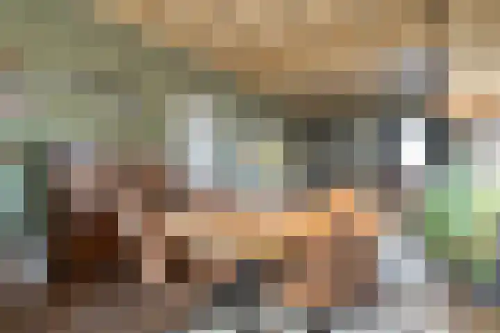 Mulderij 10 Dedemsvaart thumbnail 13