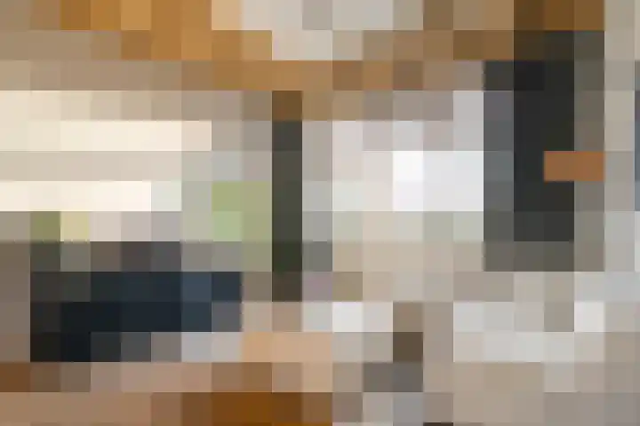 Mulderij 10 Dedemsvaart thumbnail 16