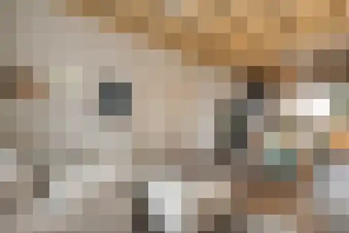 Mulderij 10 Dedemsvaart thumbnail 17