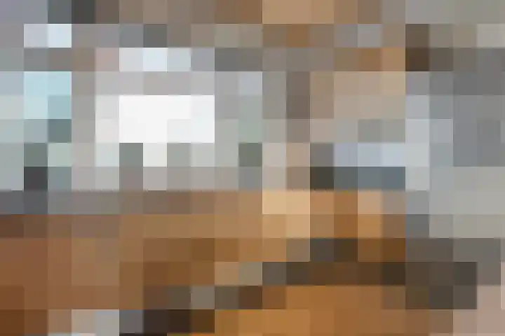 Mulderij 10 Dedemsvaart thumbnail 23