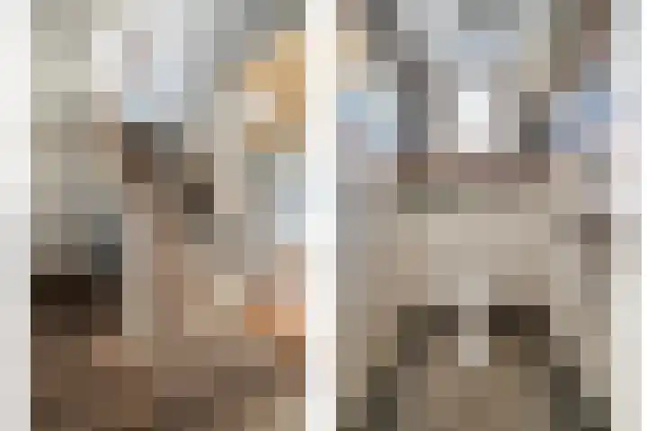 Mulderij 10 Dedemsvaart thumbnail 30