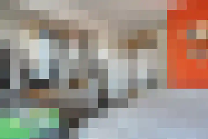 Mulderij 10 Dedemsvaart thumbnail 38