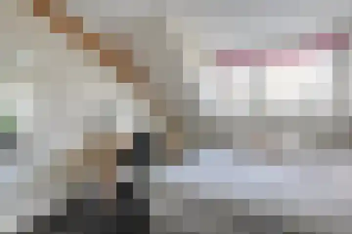 Mulderij 10 Dedemsvaart thumbnail 43