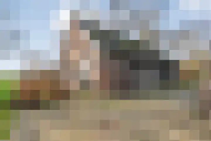 Mulderij 10 Dedemsvaart thumbnail 51