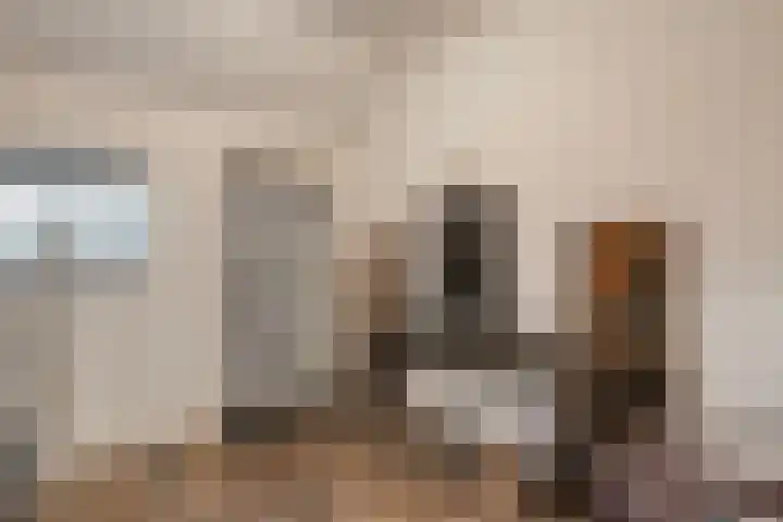 Mulderij 10 Dedemsvaart thumbnail 52