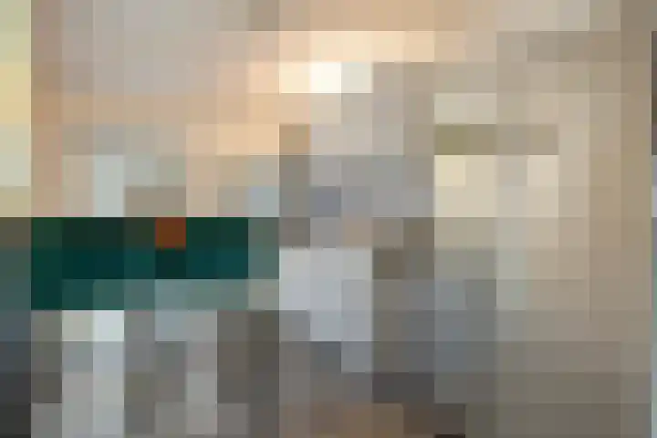 Mulderij 10 Dedemsvaart thumbnail 58
