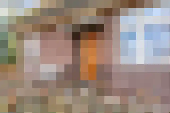 Mulderij 10 Dedemsvaart thumbnail 6