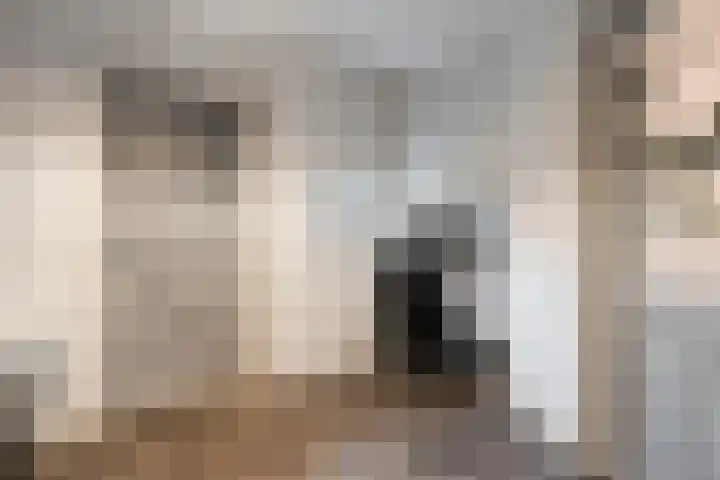Mulderij 10 Dedemsvaart thumbnail 61