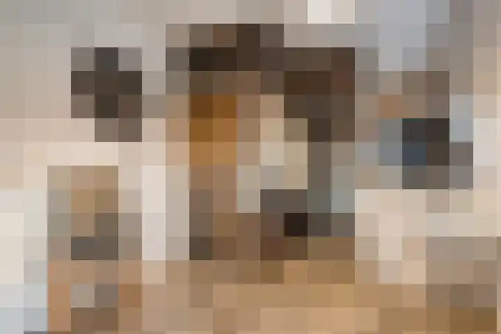 Mulderij 10 Dedemsvaart thumbnail 62