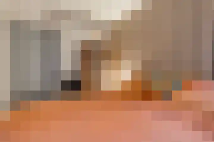 Mulderij 10 Dedemsvaart thumbnail 66