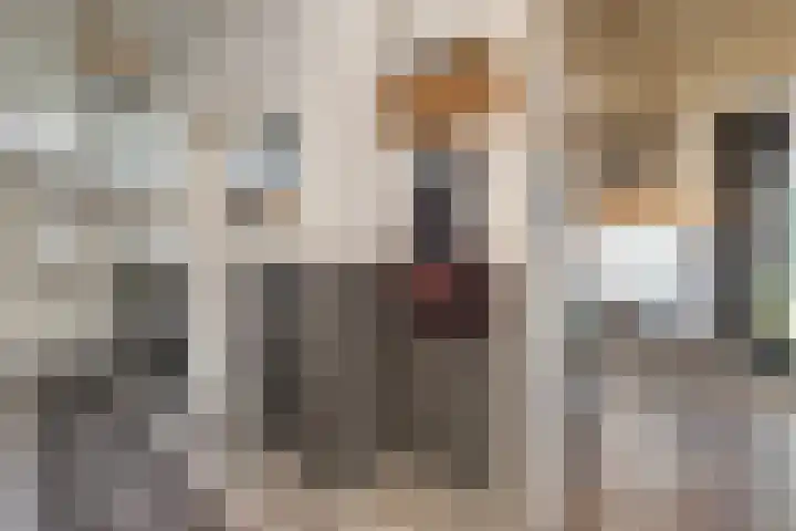 Mulderij 10 Dedemsvaart thumbnail 7