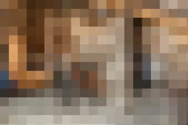 Mulderij 10 Dedemsvaart thumbnail 71