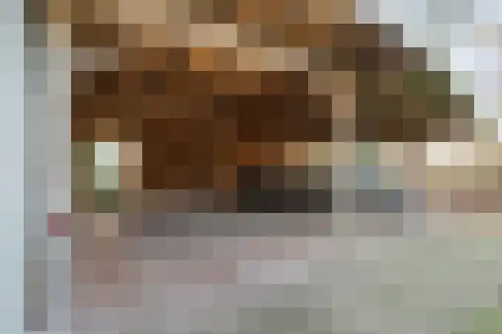Mulderij 10 Dedemsvaart thumbnail 73