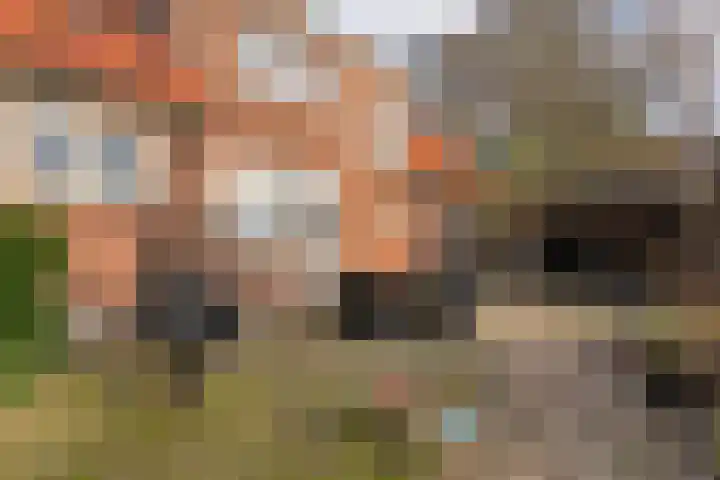 Mulderij 10 Dedemsvaart thumbnail 74
