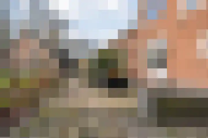 Mulderij 10 Dedemsvaart thumbnail 75