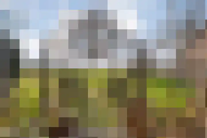 Mulderij 10 Dedemsvaart thumbnail 76