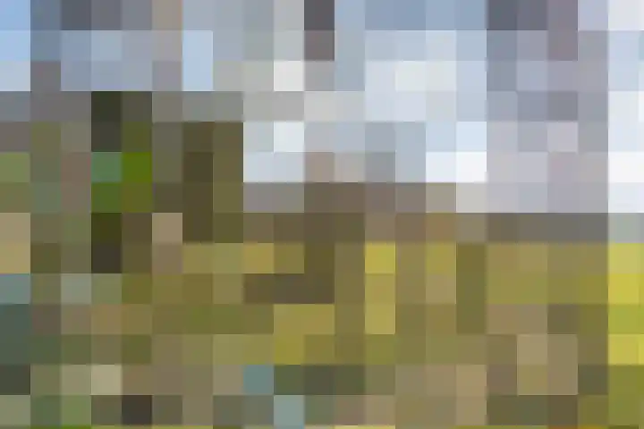 Mulderij 10 Dedemsvaart thumbnail 77
