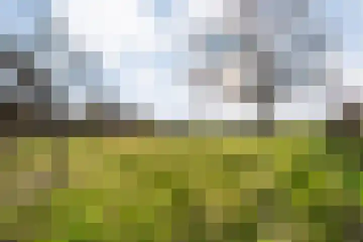 Mulderij 10 Dedemsvaart thumbnail 80