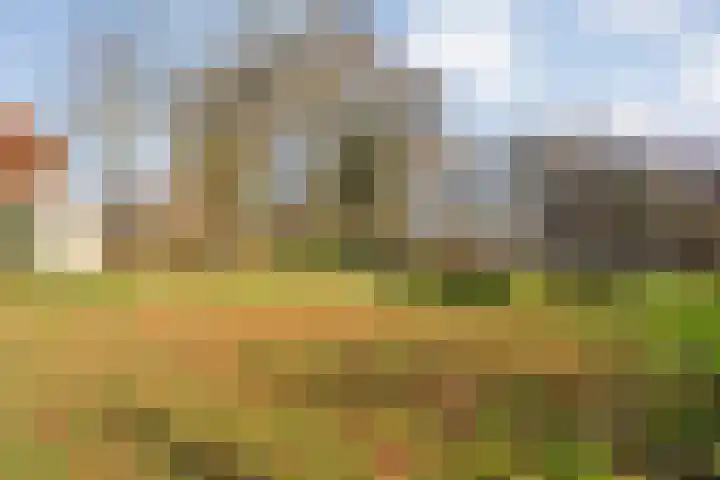 Mulderij 10 Dedemsvaart thumbnail 81